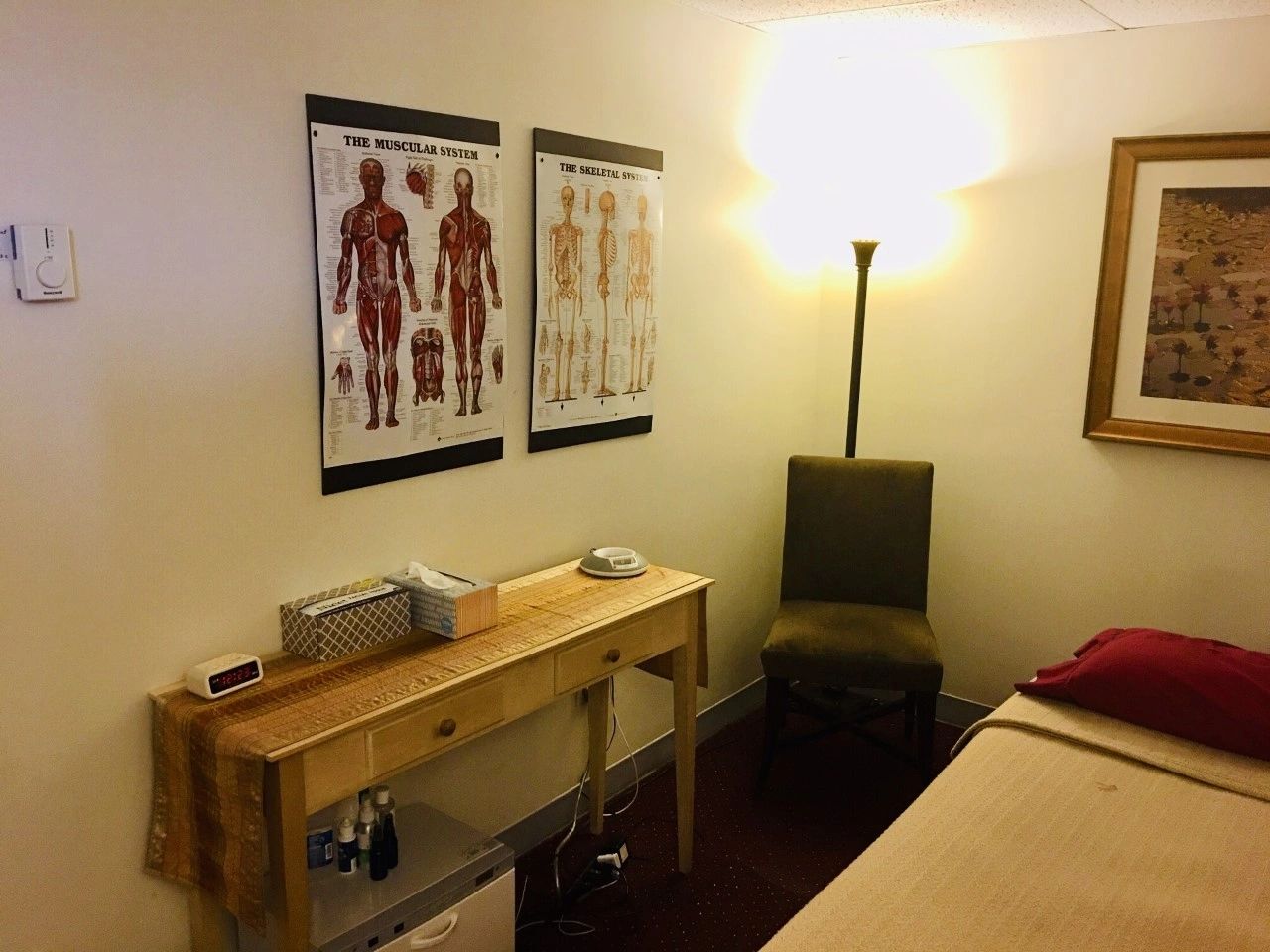Therapeutic office with anatomical charts